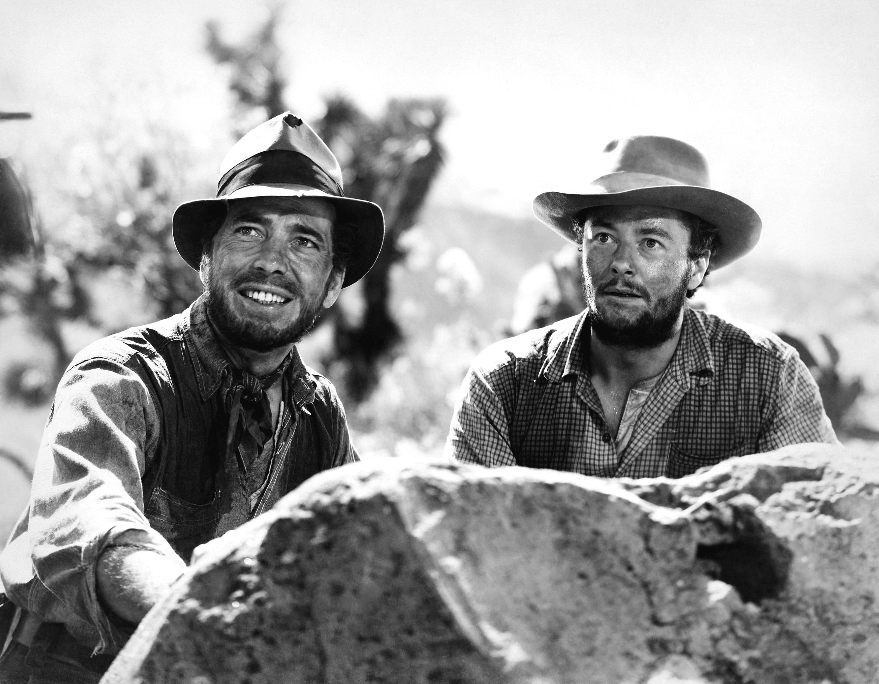 Treasure of the Sierra Madre, The